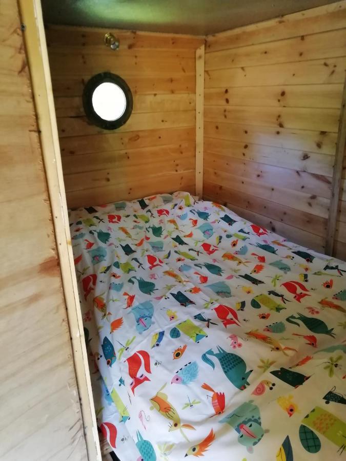 Truck & Pod Creative Nature Retreat. Bantry Zewnętrze zdjęcie